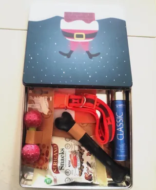 Set regalo per cani a tema Natale