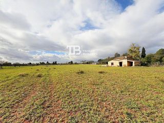 Terreno en venta en Zona periurbana en Inca