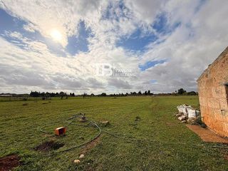 Terreno en venta en Zona periurbana en Inca