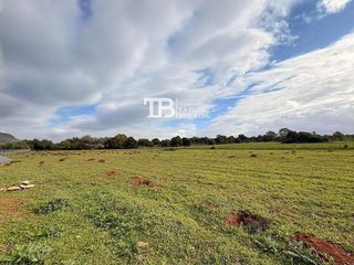 Terreno en venta en Zona periurbana en Inca