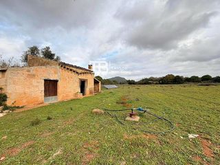 Terreno en venta en Zona periurbana en Inca