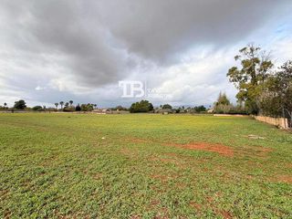 Terreno en venta en Zona periurbana en Inca