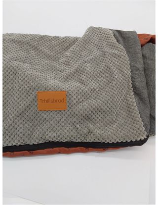 Trhillsbrad Cubierta ancha para escalera de perro,