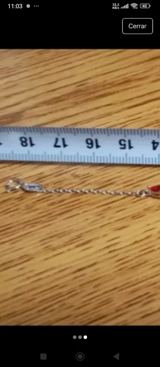 Pulsera Plata con Flores Rojas