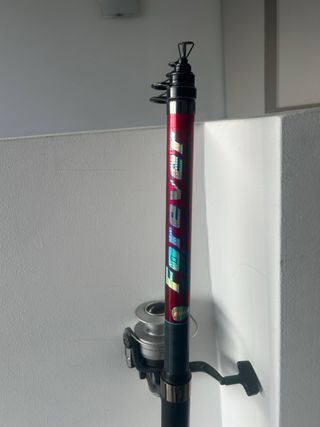 Caña y carrete de pesca