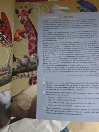 Lengua Castellana y Literatura I 1º Bachillerat...