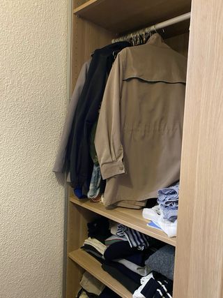 Armario Ikea PAX HASVIK Roble