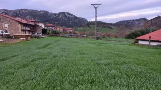 Finca urbana La Huertona