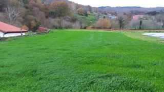 Finca urbana La Huertona