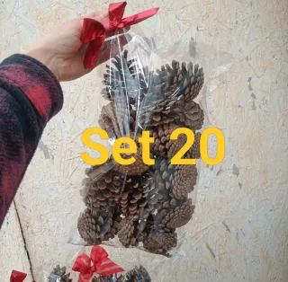 Set 20 Pigne Naturali Decorative
