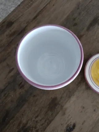 Albarelo CAMPTOTHECA ACUMINATA