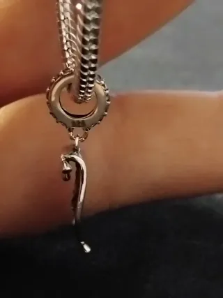 Charm Alfombra Mágica 925