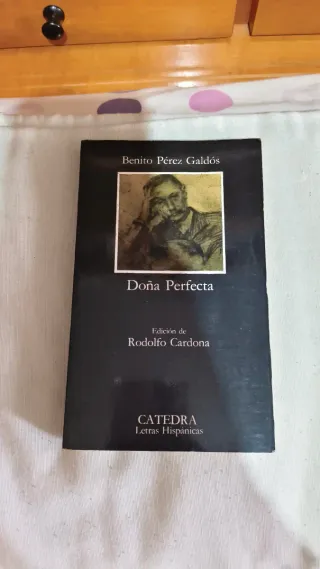 Dona Perfecta