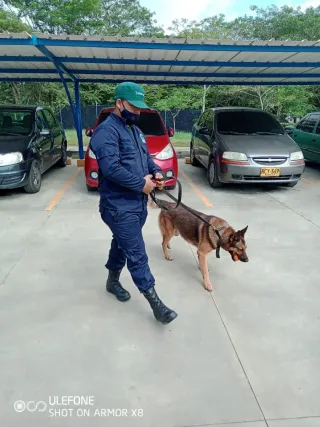 Entrenamiento y adiestramiento canino