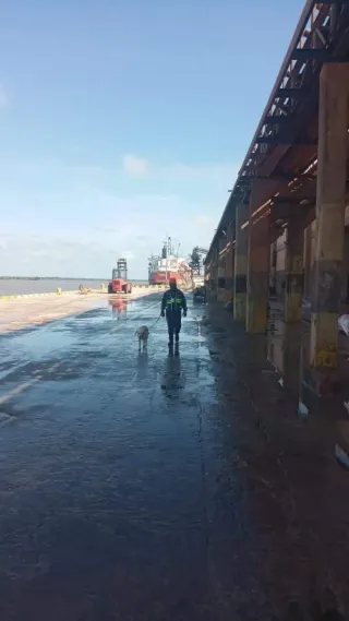 Entrenamiento y adiestramiento canino