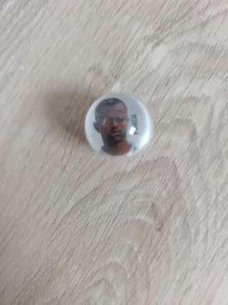 Canicromo Findi Betis Panini.