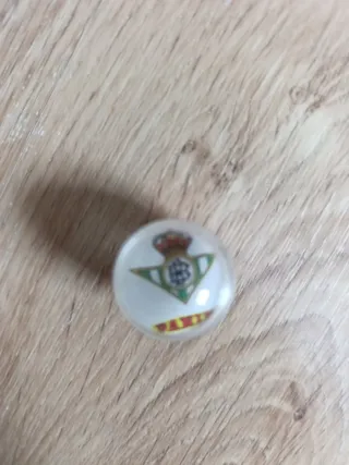 Canicromo Findi Betis Panini.