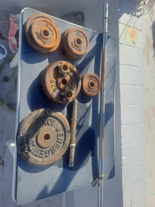 Juego de pesas y barra de gimnasio