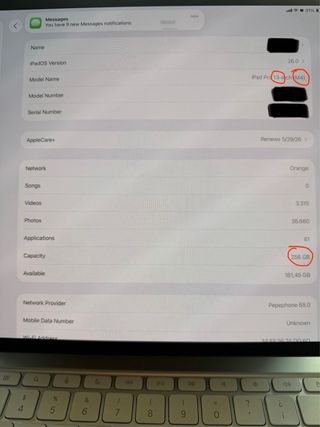 iPad Pro M4 13 WiFi + Cellular 5G de 256GB Plata