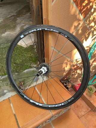 Rueda Trasera Carbono DT Swiss RC 28 C Spline