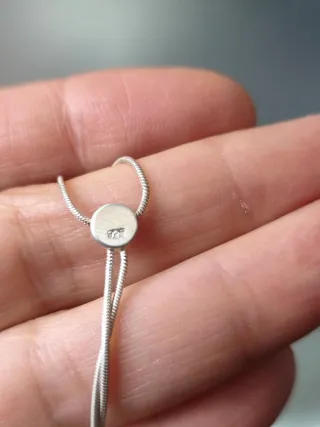 Cadena Plata 925 con Colgante.