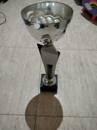 Copa Trofeo Plata