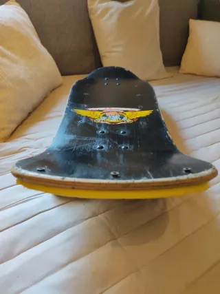 Powell Peralta Ray Barbee Ragdoll skate vintage