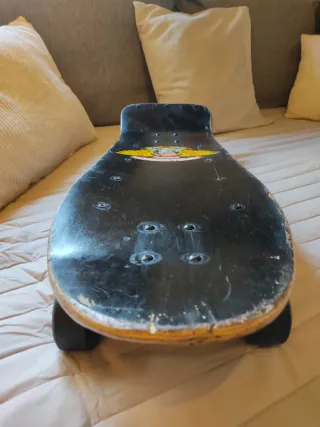 Powell Peralta Ray Barbee Ragdoll skate vintage