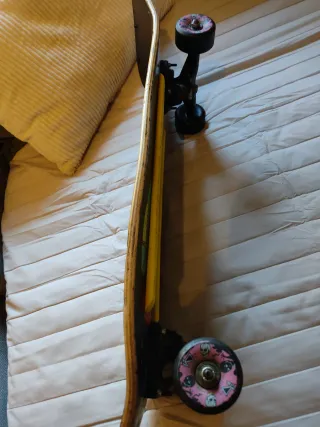 Powell Peralta Ray Barbee Ragdoll skate vintage