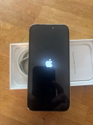 iPhone 14 Pro Max Oro