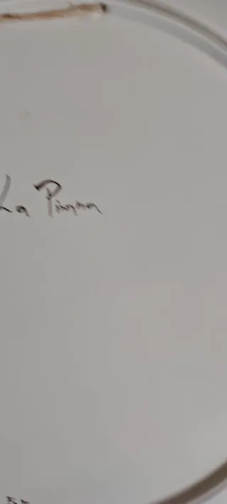 La Pisana Piatto Decorativo Ceramica