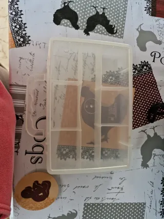 Caja organizadora transparente con separadores