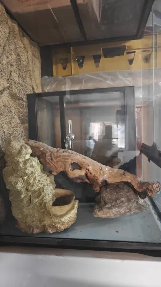 Terrario Negro y Transparente