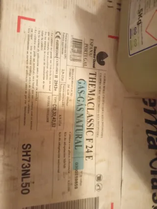 Caldaia a Gas Natural ThemaClassic F 24 E