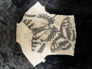 Crop top semitransparente mariposas