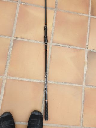 Caña de pesca de viaje