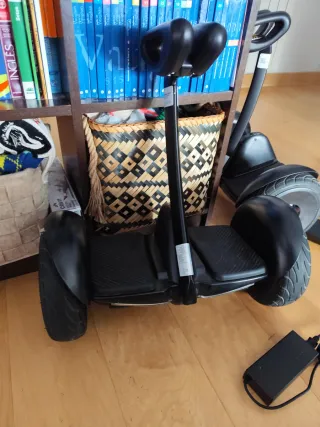 2 Patinetes Eléctricos Ninebot by Segway