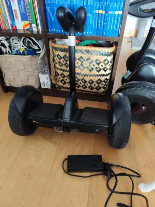 2 Patinetes Eléctricos Ninebot by Segway