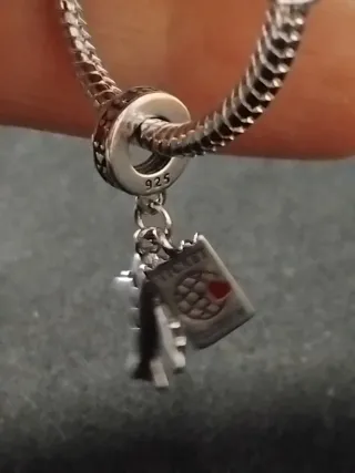 Charm avión y billete de viaje