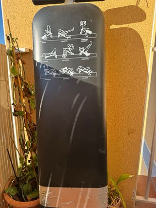 Barra Z con discos y banco