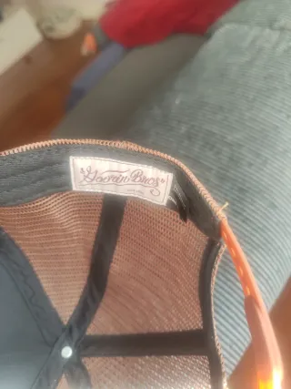 Gorra Goorin Bros Grizzly Oso