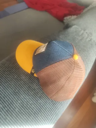 Gorra Goorin Bros Grizzly Oso