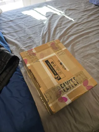 Butterfly Timo Boll ALC Alemania