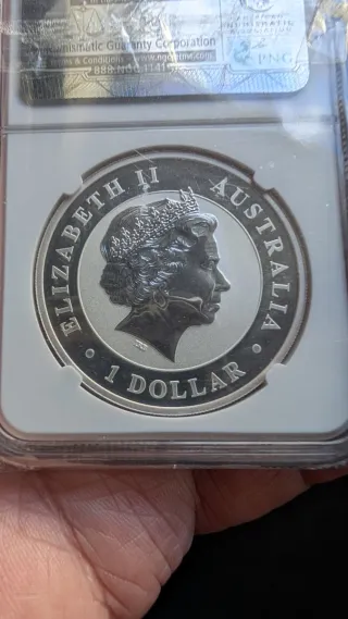 Un dólar de Isabel segunda