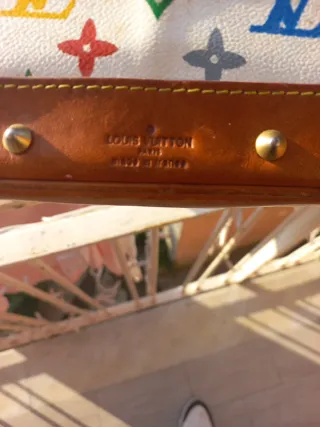 Borsa Louis Vuitton Multicolor