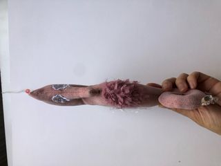 Caballito de mar rosa palo hecho a mano