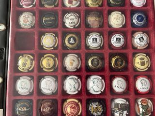 Bandeja Colección Chapas Cava