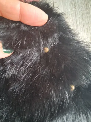 Mini borsa United Colors of Benetton nera