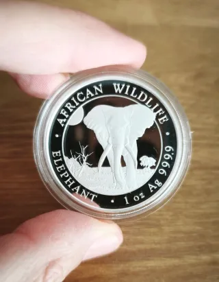 Lote 2 Monedas de Plata 1 Oz: Elefante + canguro