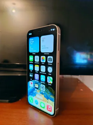 iPhone 12 Mini 256GB Argento